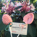 Winkberry Aphrodisiac Lollipop (Pink sugar-free)